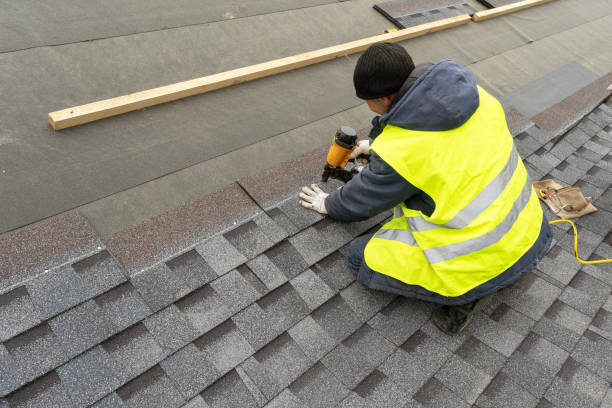 Best Solar Panel Roofing Installation  in Steele Creek, AK