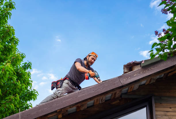 Best Rubber Roofing (EPDM, TPO)  in Steele Creek, AK