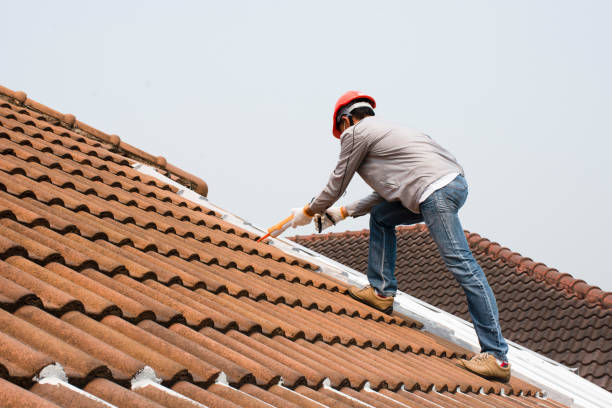 Fast & Reliable Emergency Roof Repairs in Steele Creek, AK