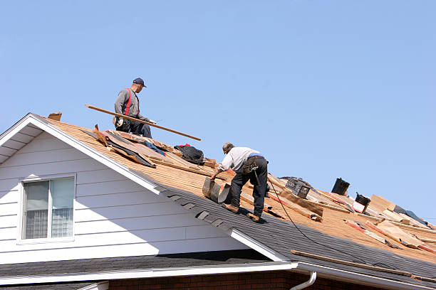 Best Roof Moss and Algae Removal  in Steele Creek, AK