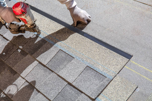 Best Roof Insulation Installation  in Steele Creek, AK